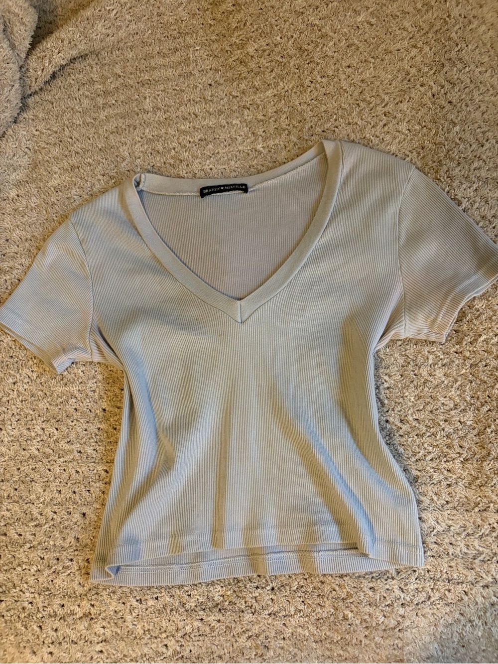 Brandy Melville Soft Blue V-neck tee